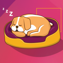 conoce los hábitos de sueño de tu perro